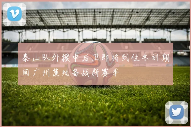 泰山队外援中后卫即将到位冬训期间广州集结备战新赛季